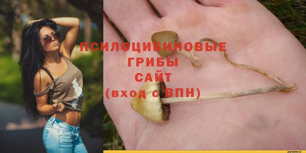 дживик Абинск