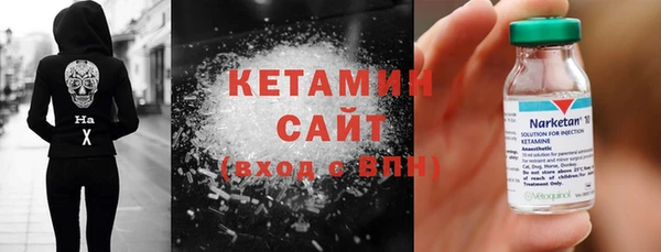 шишки Абаза