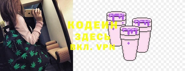 шишки Абаза