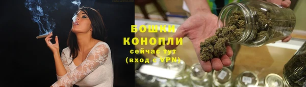 шишки Абаза