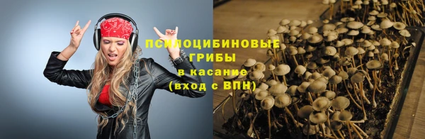 шишки Абаза