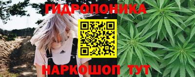 соль ск Кулебаки