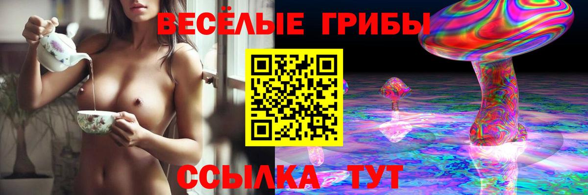 Галлюциногенные грибы GOLDEN TEACHER  Галлюциногенные грибы ЛСД  Вход с VPN  Ефремов 